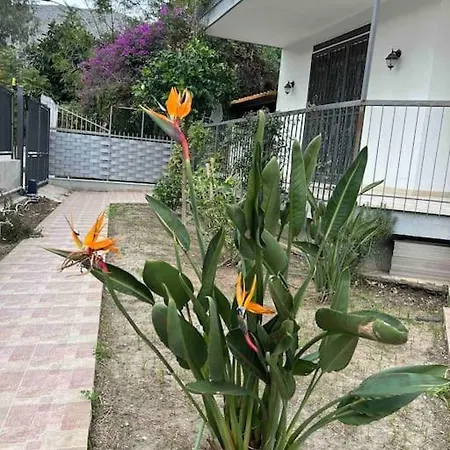 Mia Mondello, 200m To Beach, Private Parking Willa *